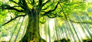 Cercle de méditation