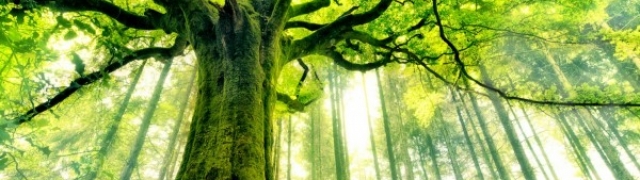 Cercle de méditation